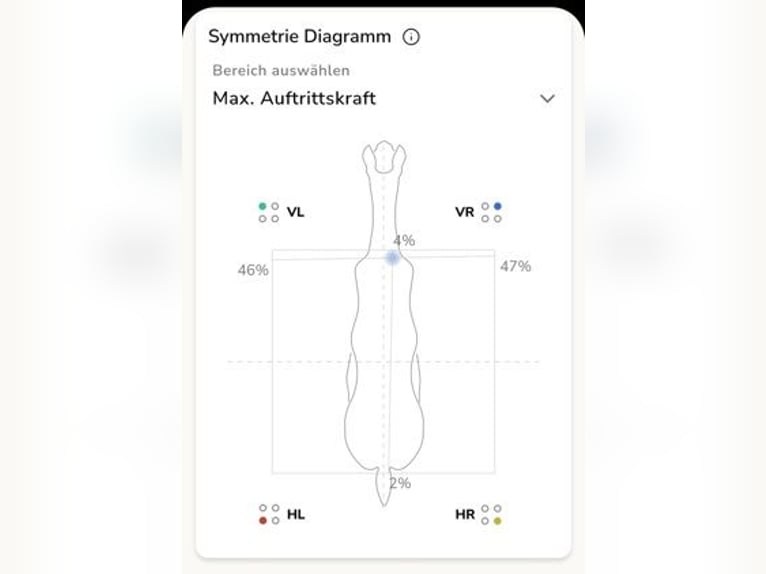 Consteed Hufschuhe - Professionelle Ganganalyse