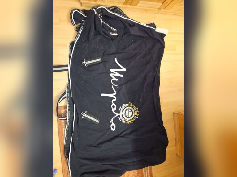 Diverse Reitsportartikel zu verkaufen