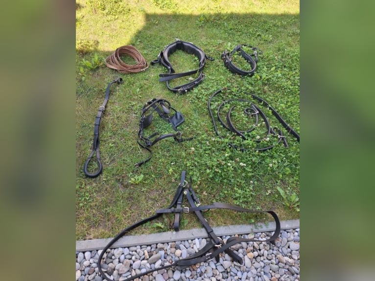 Einspänner Geschirr Einspänner Geschirr