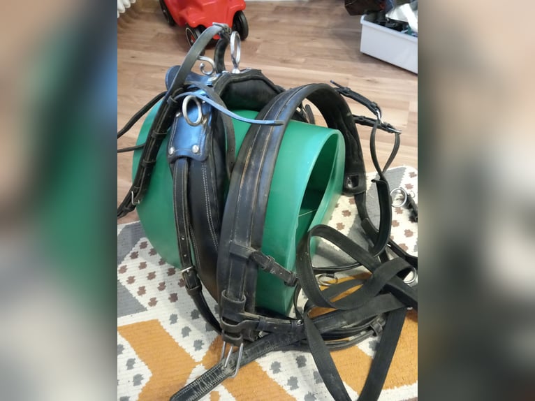 Einspännergeschirr für cob/wb