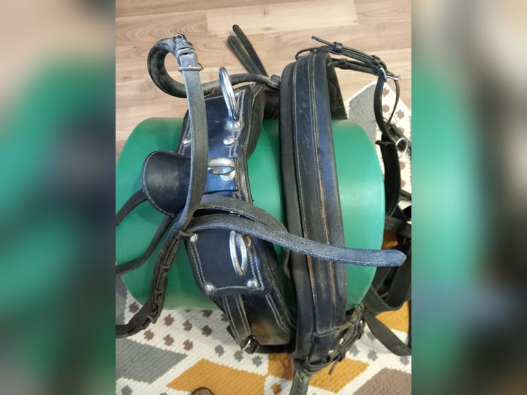 Einspännergeschirr für cob/wb