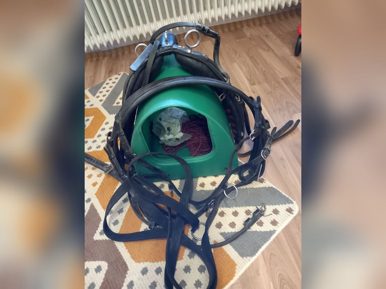 Einspännergeschirr für cob/wb