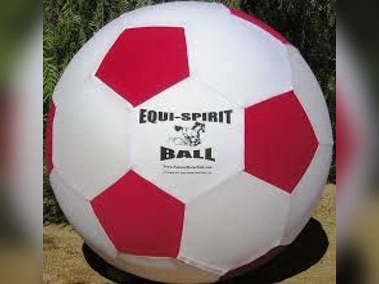 Equi-Spirit Horse Ball Equi-Spirit Horse Ball