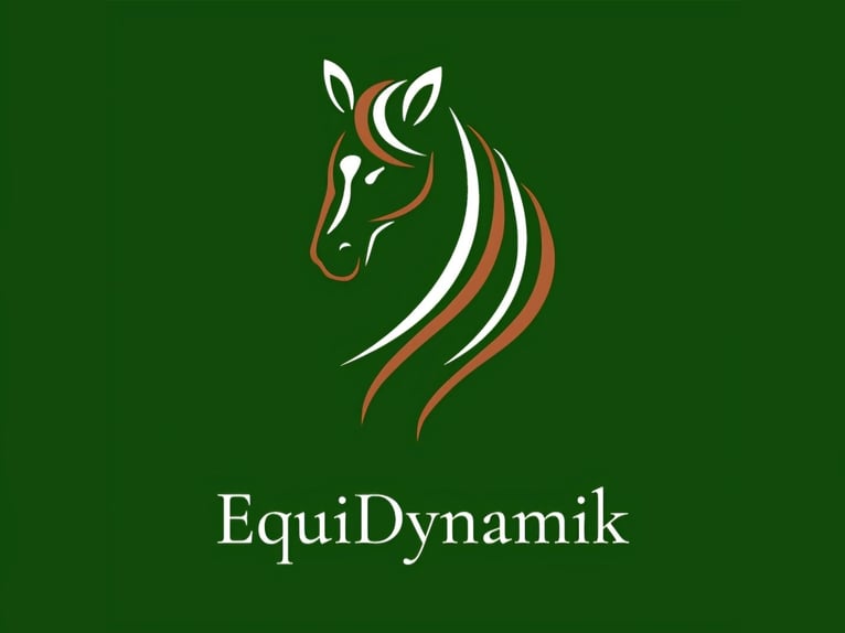 EquiDynamik - Craniodynamiktherapie für Pferde