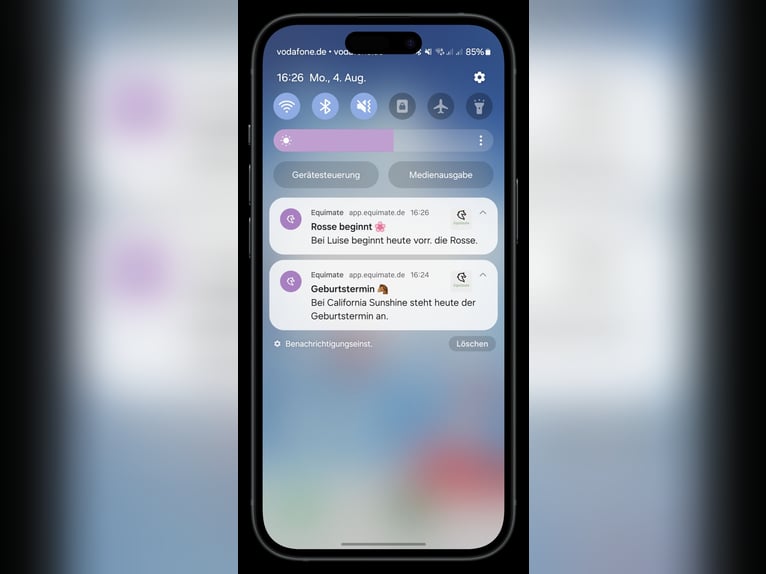 Equimate - App für deine Pferdezucht