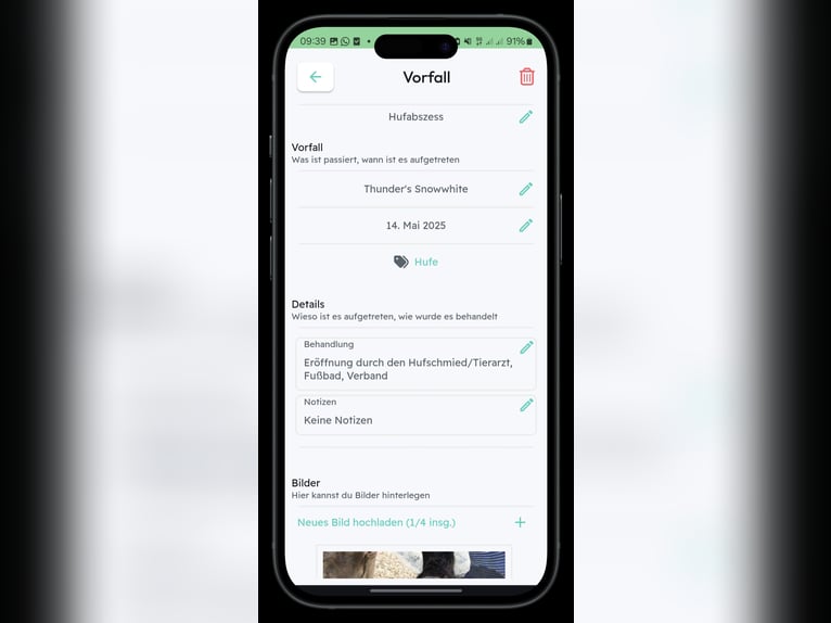 Equimate - App für deine Pferdezucht