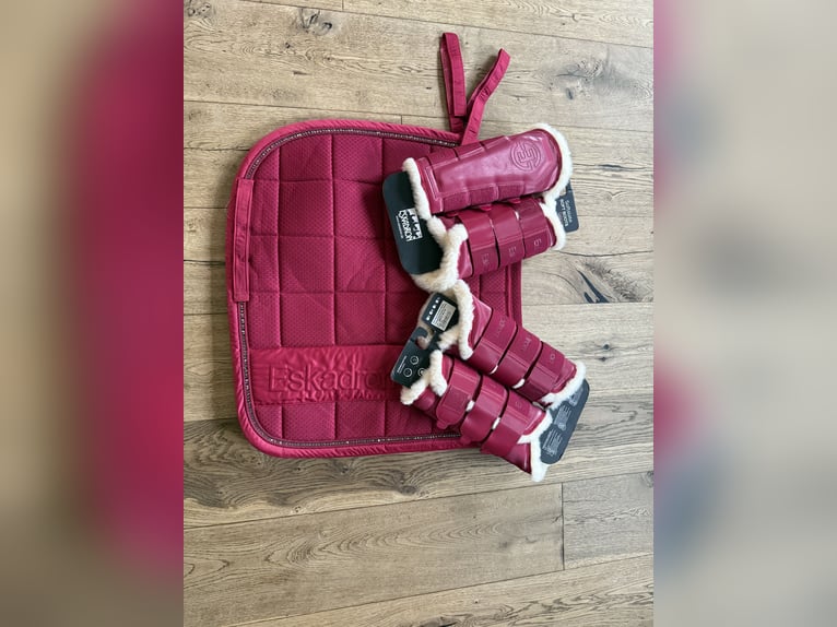 Eskadron Schabracke inkl. Gamaschen und Fliegenmütze