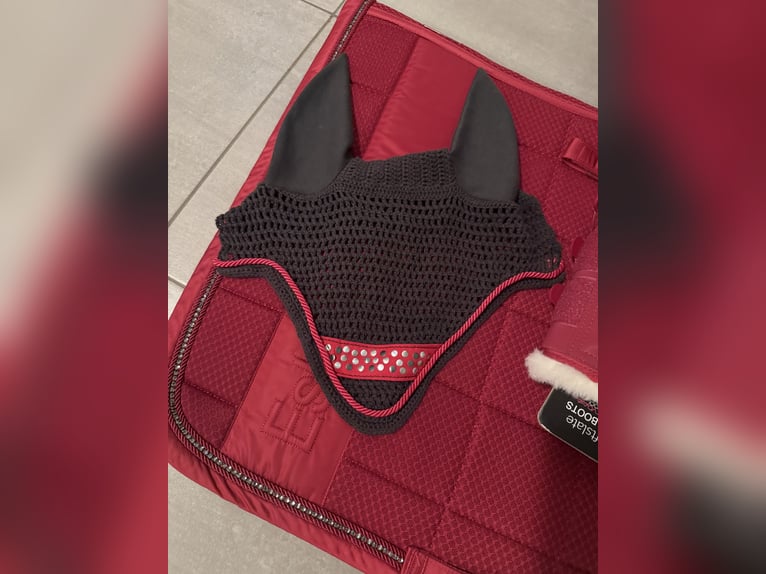 Eskadron Schabracke inkl. Gamaschen und Fliegenmütze