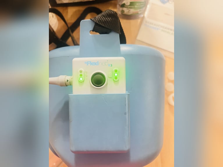 Flexibel E3 Warmblut