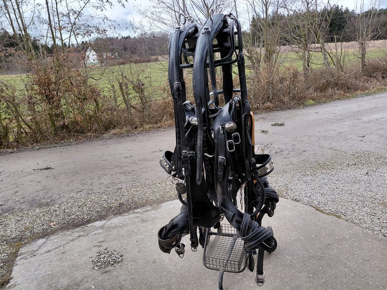 Gebrauchtes Französisches Marathongeschirr für Kaltblutpferde und Halfter