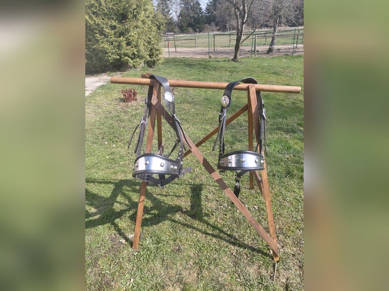 Gebrauchtes Französisches Marathongeschirr für Kaltblutpferde und Halfter