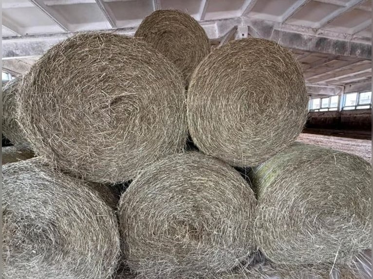 Heu und Stroh zu verkaufen / Rundballen/ Quaderballen