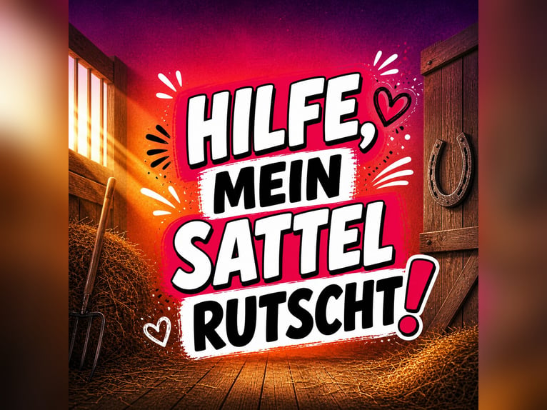 Hilfe, mein Sattel rutscht! Gratis Ratgeber für Isländer, Haflinger, Tinker & Co.