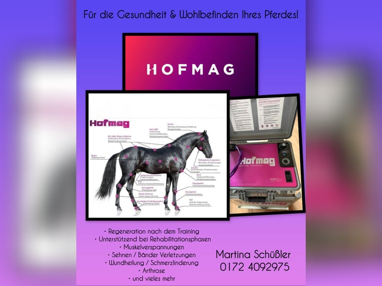 Hofmag Behandlung für dein Pferd!