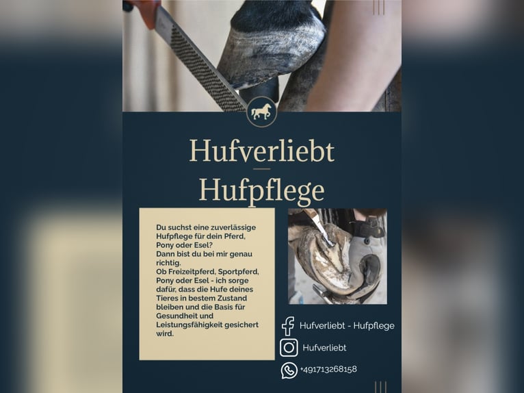 Hufbearbeitung / Hufpflege **freie Termine**