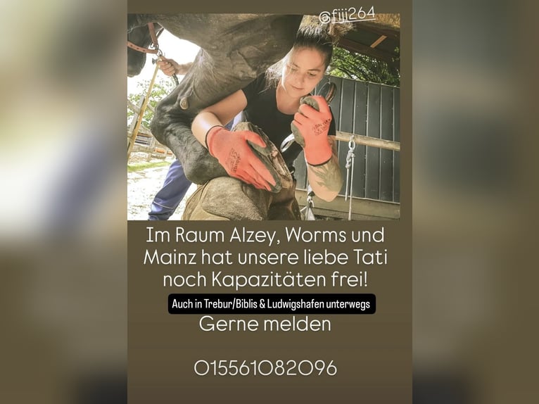 Hufbearbeitung/Hufpflegerin hat Kapazität 