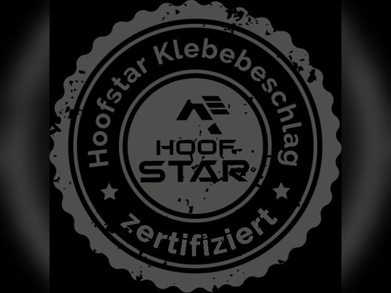 Hufpflege / Barhufpflege  Hufpflege / Barhufpflege