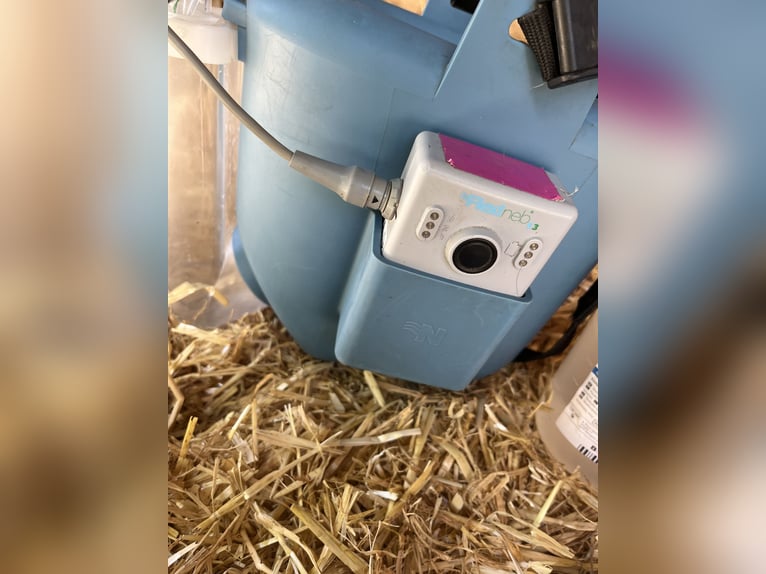 Inhalator