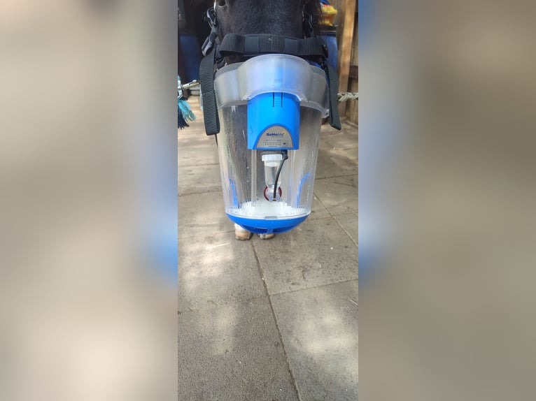 Inhaliergerät Inhalator SaHoMa 2 von Nebu-Tec