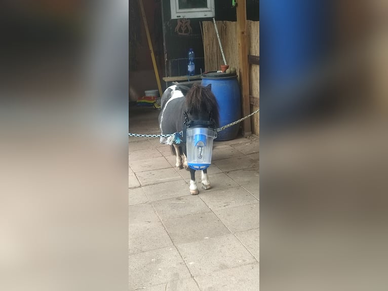 Inhaliergerät Inhalator SaHoMa 2 von Nebu-Tec