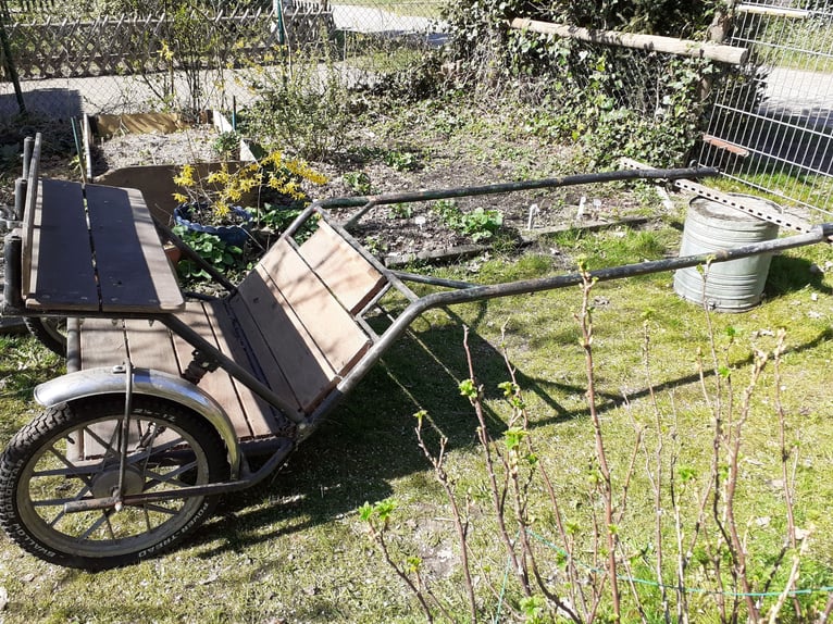 Komplette Ausrüstung für Kleinpferd 