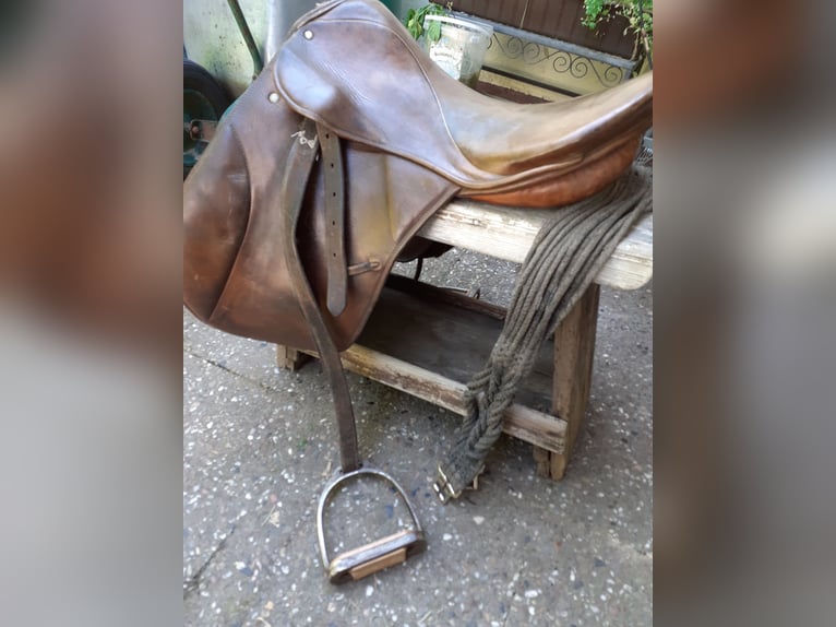 Komplette Ausrüstung für Kleinpferd 