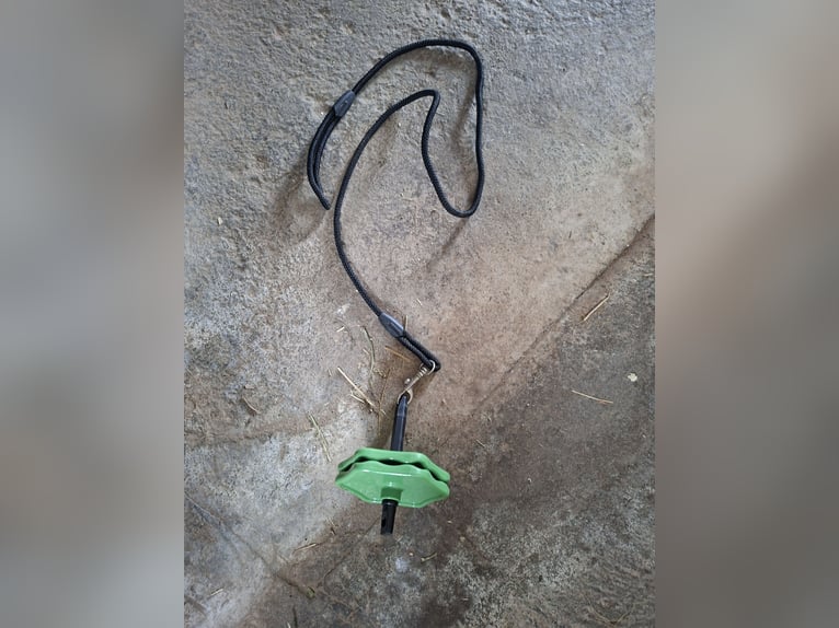 Likit Halterung für Schleckstein mit Kordel & Karabiner