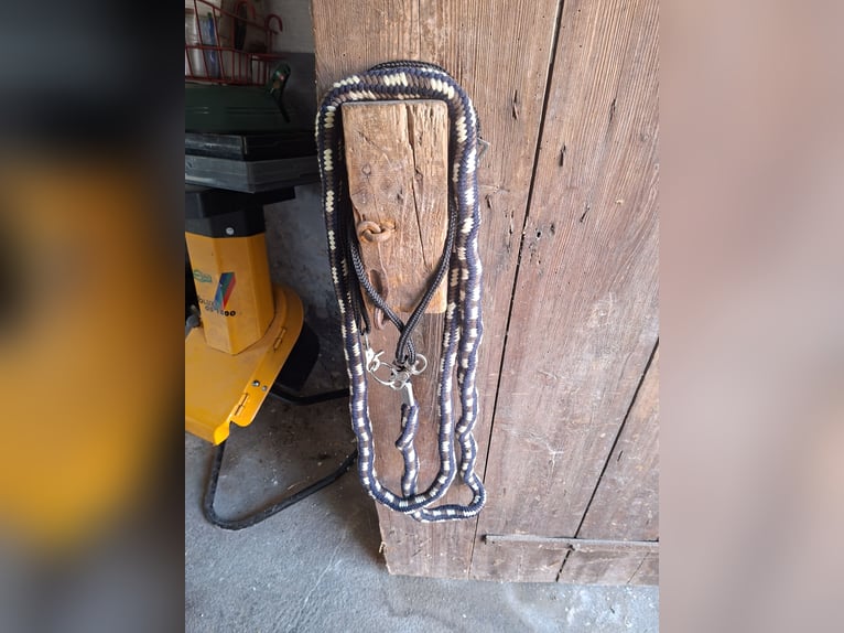 Longierhilfe für Kleinpferd