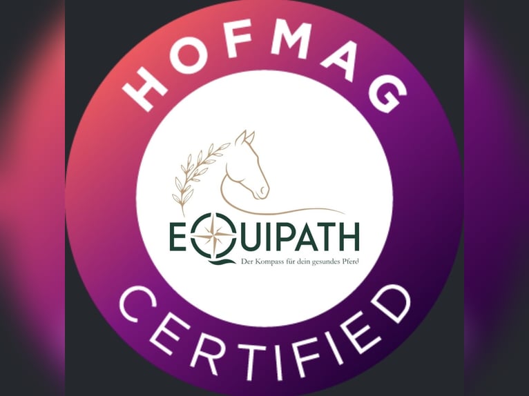 Mobile HOFMAG-Therapie (PEMF, gepulstes Magnetfeld)