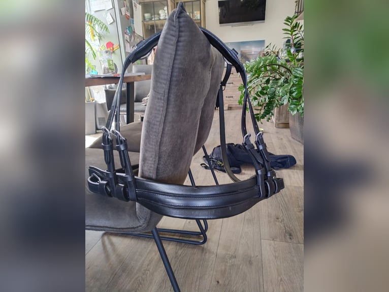 Neu!Mini Shetty Einspänner Geschirr