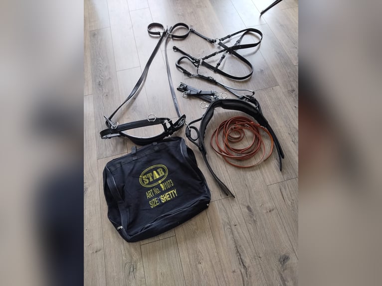 Neu!Mini Shetty Einspänner Geschirr