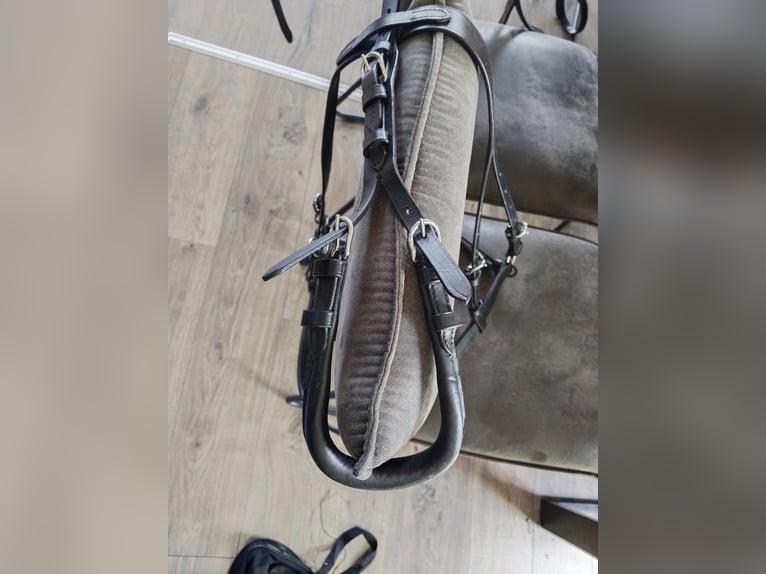 Neu!Mini Shetty Einspänner Geschirr