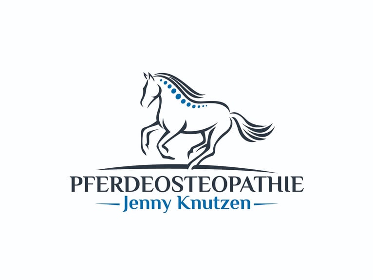 Osteopathie / Physiotherapie für Pferde