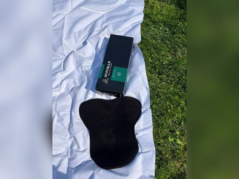 Paket: Reitzubehör, Tasche, Riemen, Trensen, ...