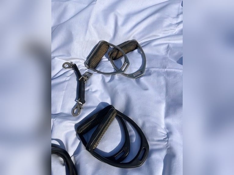 Paket: Reitzubehör, Tasche, Riemen, Trensen, ...