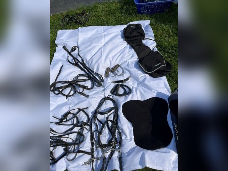Paket: Reitzubehör, Tasche, Riemen, Trensen, ...