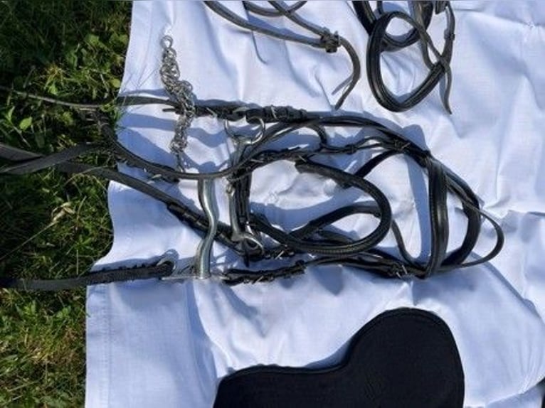 Paket: Reitzubehör, Tasche, Riemen, Trensen, ...