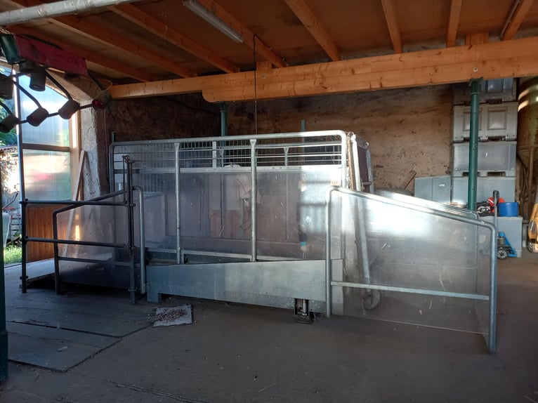 Pferdelaufband Horse Gym2000 Model S3