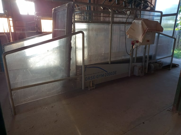 Pferdelaufband Horse Gym2000 Model S3