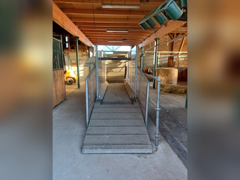 Pferdelaufband Horse Gym2000 Model S3