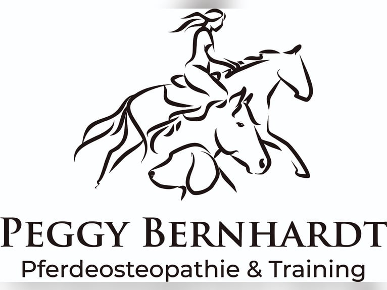 Pferdeosteopathie & Physiotherapie 