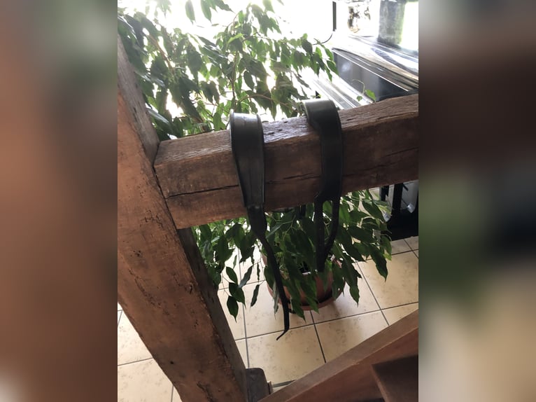 Pferdezubehör - wegen Aufgabe des Reitsports