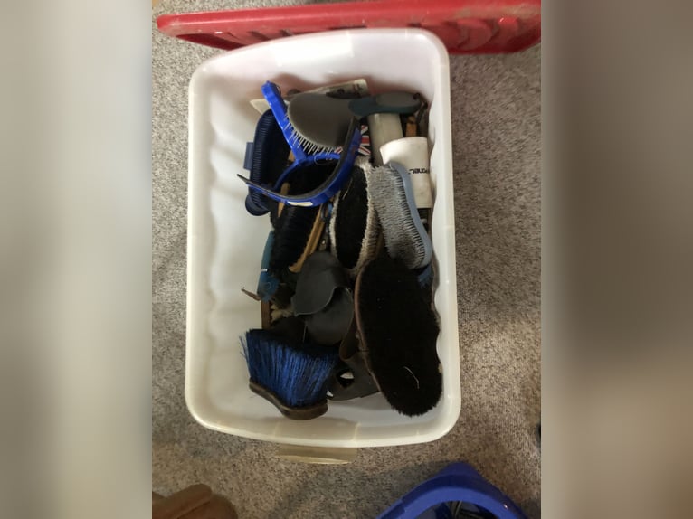 Pferdezubehör - wegen Aufgabe des Reitsports