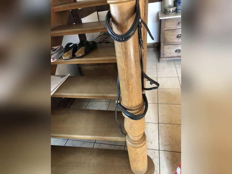 Pferdezubehör - wegen Aufgabe des Reitsports