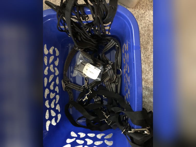 Pferdezubehör - wegen Aufgabe des Reitsports