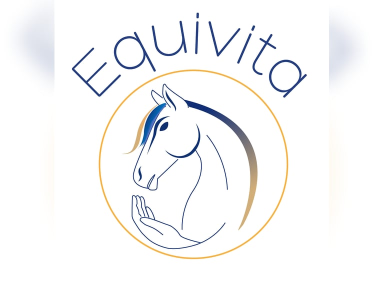 Physio- und Osteotherapie in Fulda und Umgebung