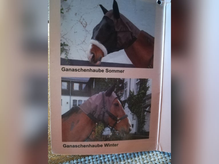 Rarit Ganaschen und Genickschutz. Neu! 