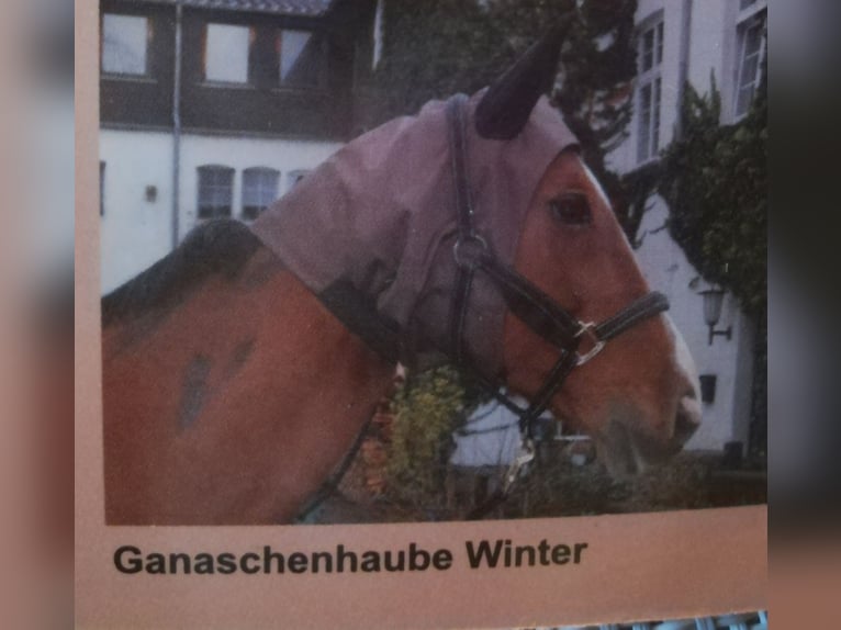 Rarit Ganaschen und Genickschutz. Neu! 