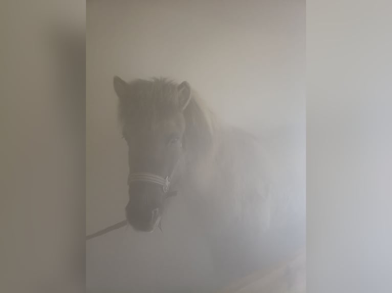 Rauminhalator, Inhaliergerät, Inhalator