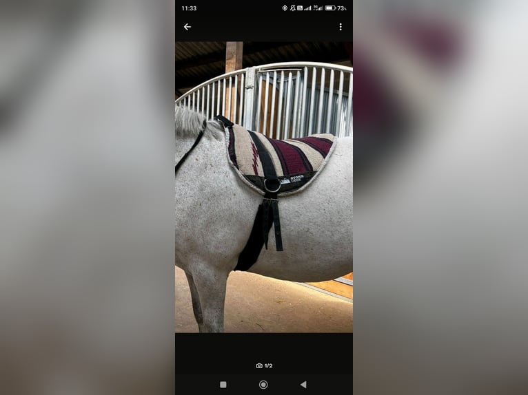 Reitpad